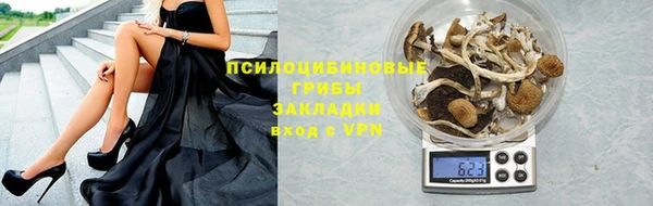 apvp Володарск