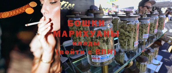 ГАЛЛЮЦИНОГЕННЫЕ ГРИБЫ Верея