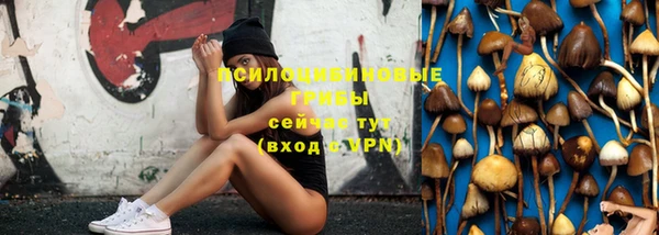 стафф Волосово